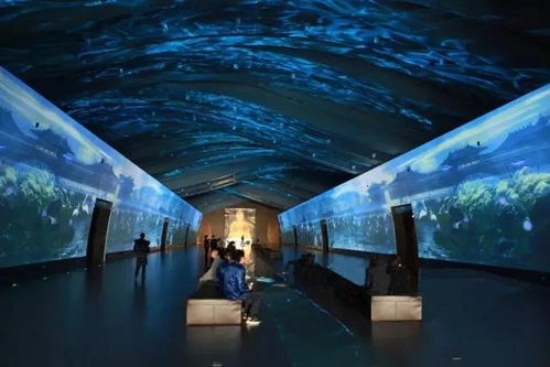 科技賦能，連接古今 探索博物館發展的新趨勢