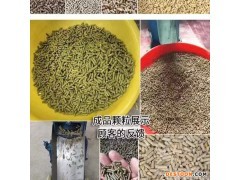 現代農業全產業鏈發展展望 從田間到餐桌的系統化整合