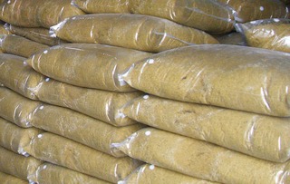 生物發酵飼料 開啟高效健康養豬新紀元